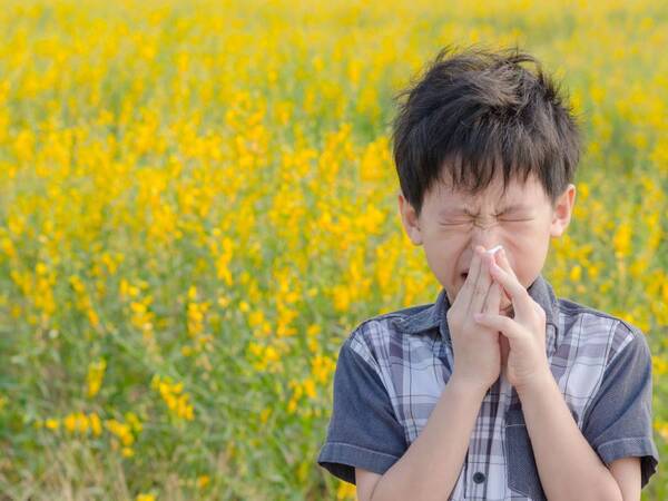 Coping With San Diego’s Year-Round Allergy Season