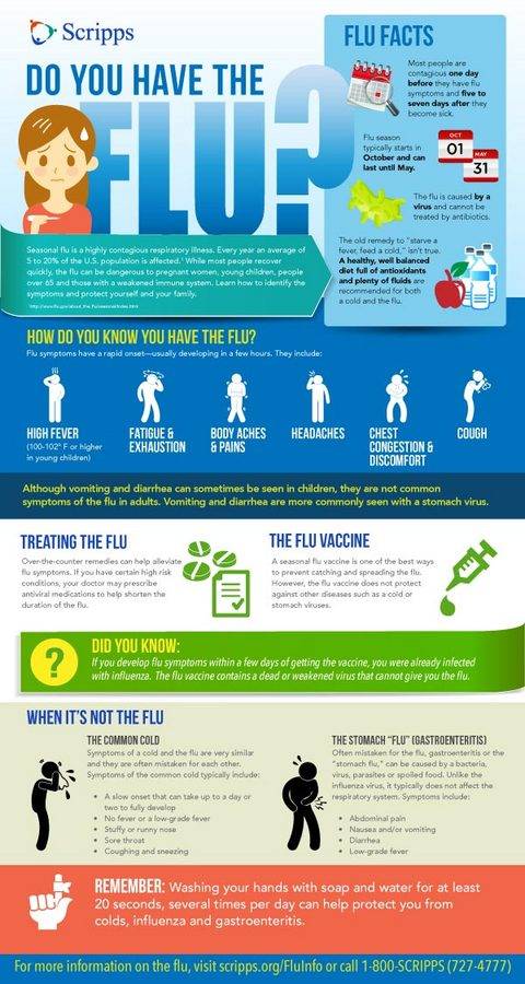 Do You Have The Flu San Diego Scripps Health