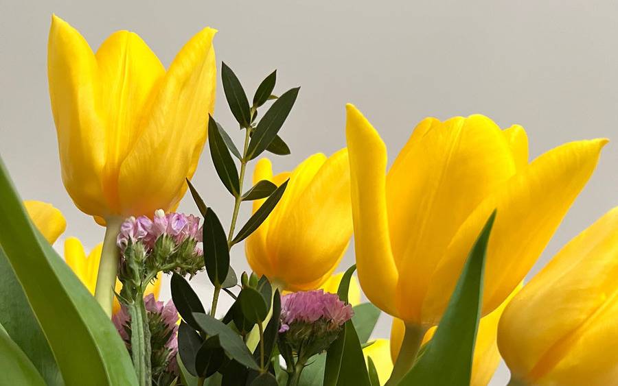 A flower arrangement with yellow tulips and light purple flowers.