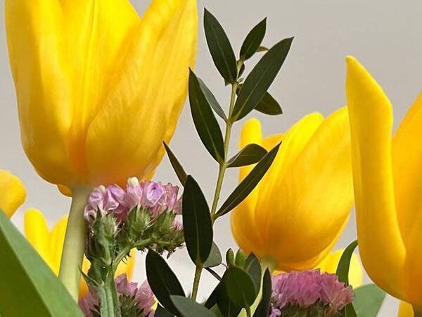 A flower arrangement with yellow tulips and light purple flowers.