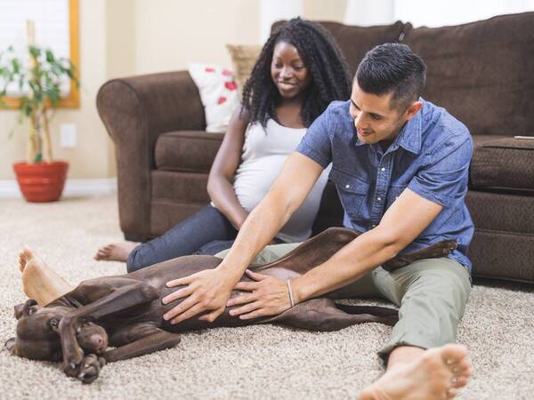 A young couple expecting a baby plays with their dog on their living room floor.