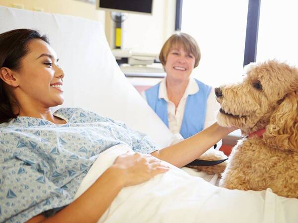 A young Asian patient lies in the hospital bed smiling as she pets the therapy dog as the volunteer looks on nearby.